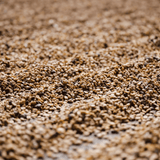 中国「雲南 デーホン 酵母発酵」/ China "Yunnan Dehong Yeast Fermentation HoneyProc."