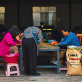 中国「雲南 プーアル トリプル発酵」/ China "Yunnan Puer Triple Fermentation Natural"