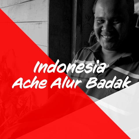 インドネシア 「アチェ アルールバダ 」大入り500g / Indonesia "Aceh Alur Badak" 500g