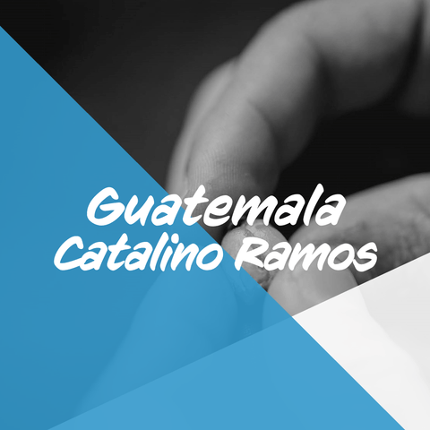 グアテマラ「カタリーノ ラモス」 / Guatemala "Catalino Ramos" 200g