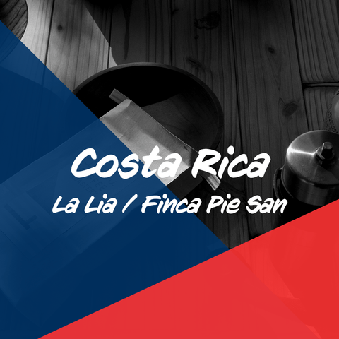 コスタリカ「ラ・リア マイクロミル  ピエ・サン農園」  /Costra Rica "La Lia Micro MIll  Finca Pie San" 200g