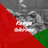 ケニア「ケニアギキリマ 」/ Kenya "Gikirima" 200g