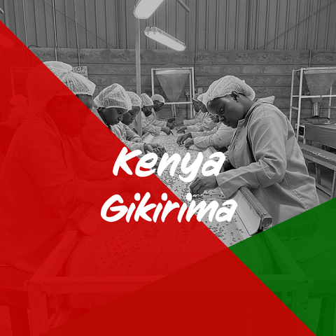 ケニア「ケニアギキリマ 」/ Kenya "Gikirima" 100g