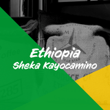 エチオピア「シェカ カヨカミノ農園 ハニープロセス 」/ Ethiopia "Sheka Kayocamino Honey Process" 100g