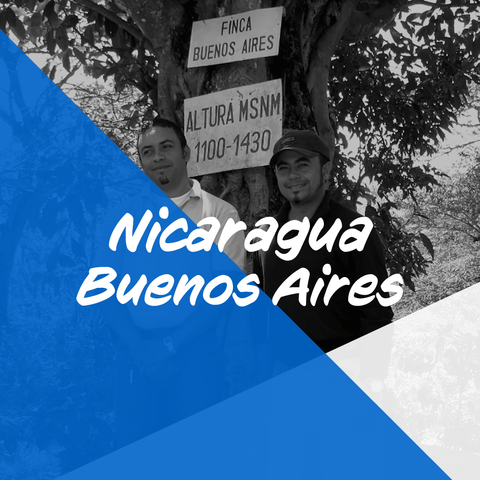 ニカラグア 「ブエノスアイレス農園 マラカトゥーラ」/ Nicaragua "Finca Buenos Aires" 200g